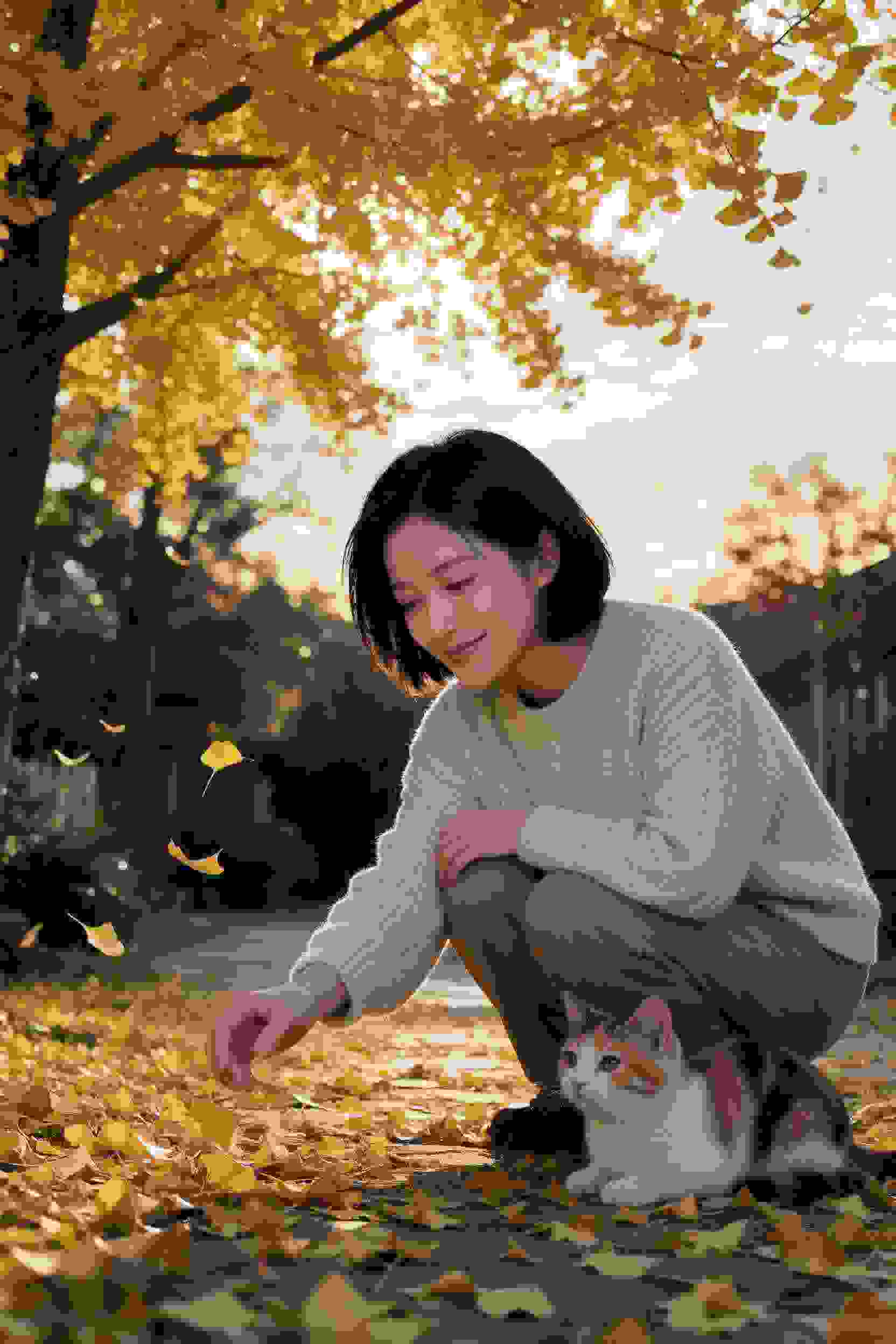 综艺